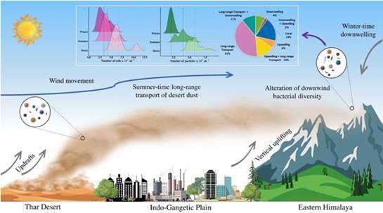 Study finds desert bacteria traveling to Himalayas, posing health risks