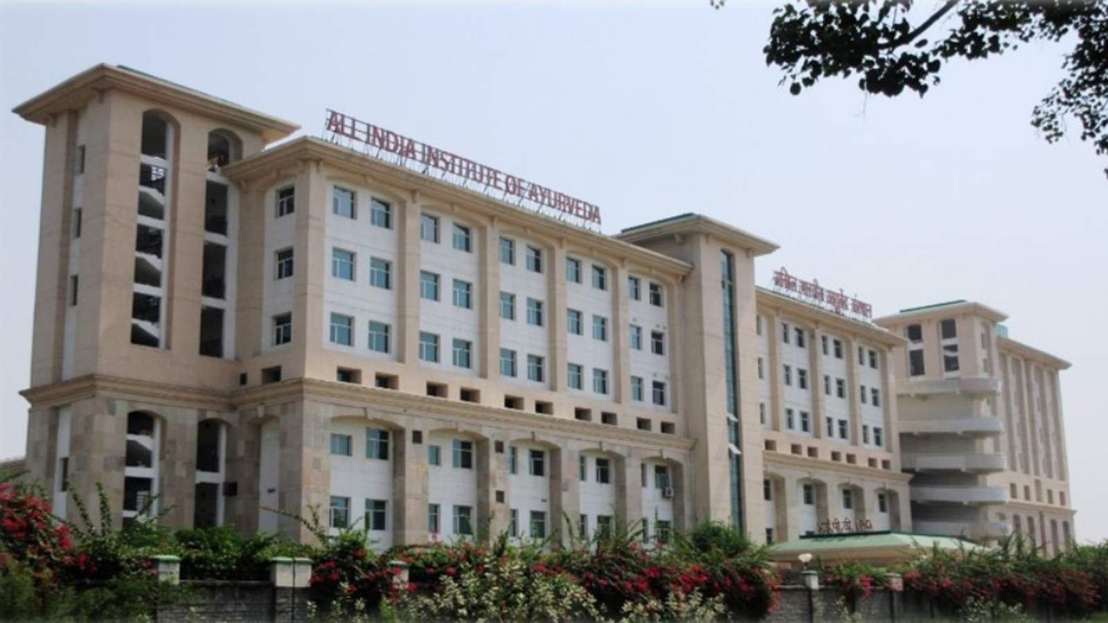 Union Budget: FM Sitharaman proposes 5 medical hubs, 3 new All India Institutes of Ayurveda