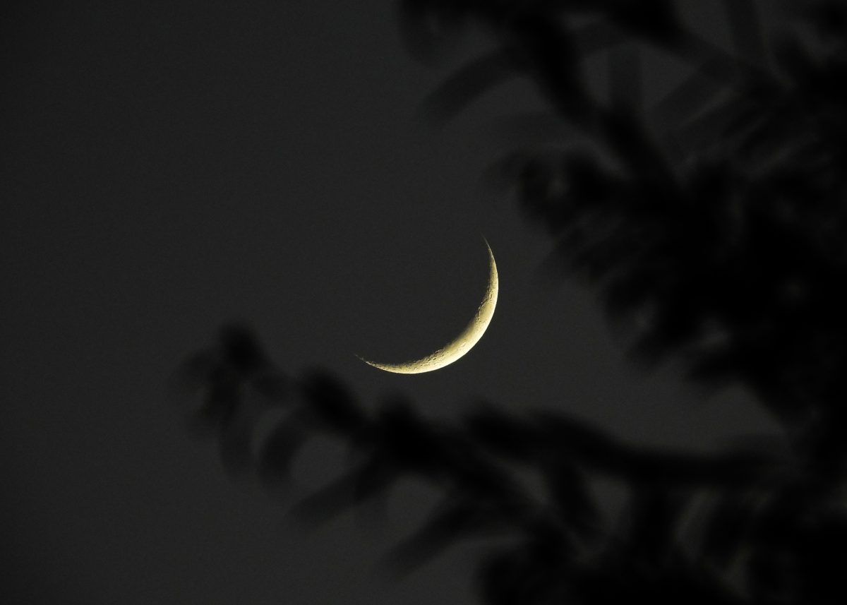 Gulf countries begin Ramadan as Saudi Arabia confirms moon sighting