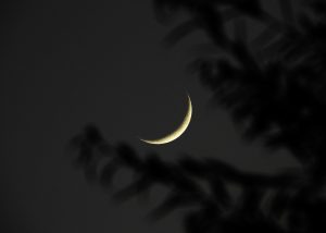 Gulf countries begin Ramadan as Saudi Arabia confirms moon sighting