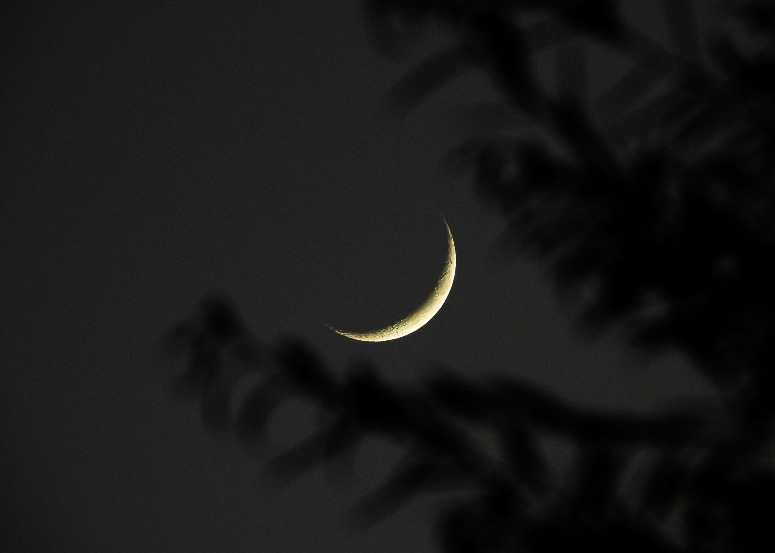 Gulf countries begin Ramadan as Saudi Arabia confirms moon sighting