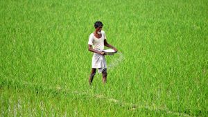 ICAR, Seychelles sign MoU to strengthen agricultural research cooperation