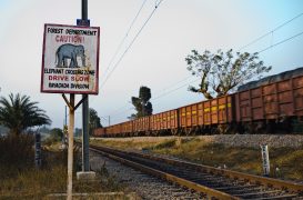 Indian Railways records 9% growth in freight loading in July, transports over 141 million tonnes