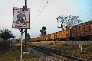 Indian Railways provides safety fencing along 19,700 km of tracks to prevent trespassing