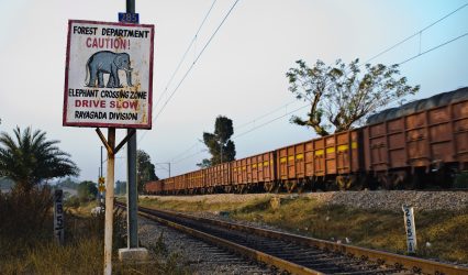 Indian Railways records 9% growth in freight loading in July, transports over 141 million tonnes