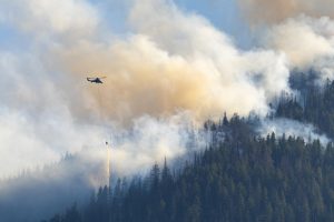Japan deploys hundreds of firefighters as wildfires rage in north