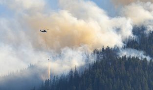 Japan deploys hundreds of firefighters as wildfires rage in north