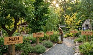 NHAI to develop ‘Arogya Van’ along highways to boost biodiversity and promote medicinal plants