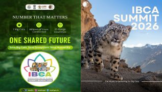 International Big Cat Alliance Summit postponed following rescheduling of India-Africa Forum Summit