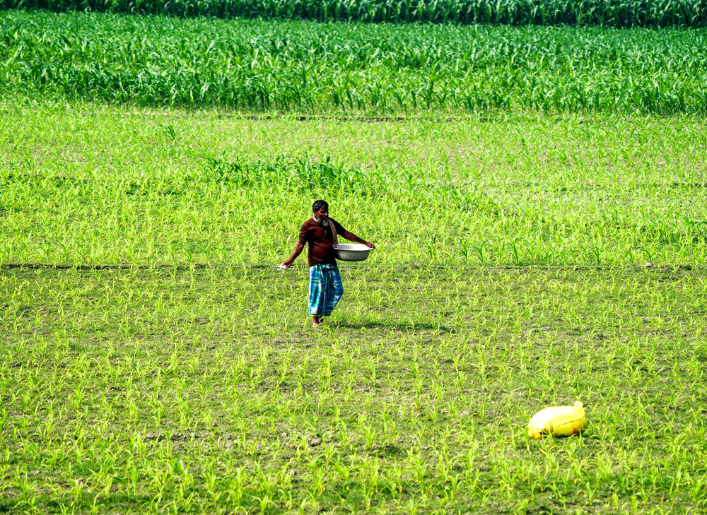 India’s Agriculture GVA More Than Doubles to Rs 48.7 Lakh Crore in a Decade