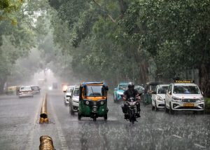 Heavy rainfall lashes Maharashtra, Palghar records 203 mm, rivers cross danger marks