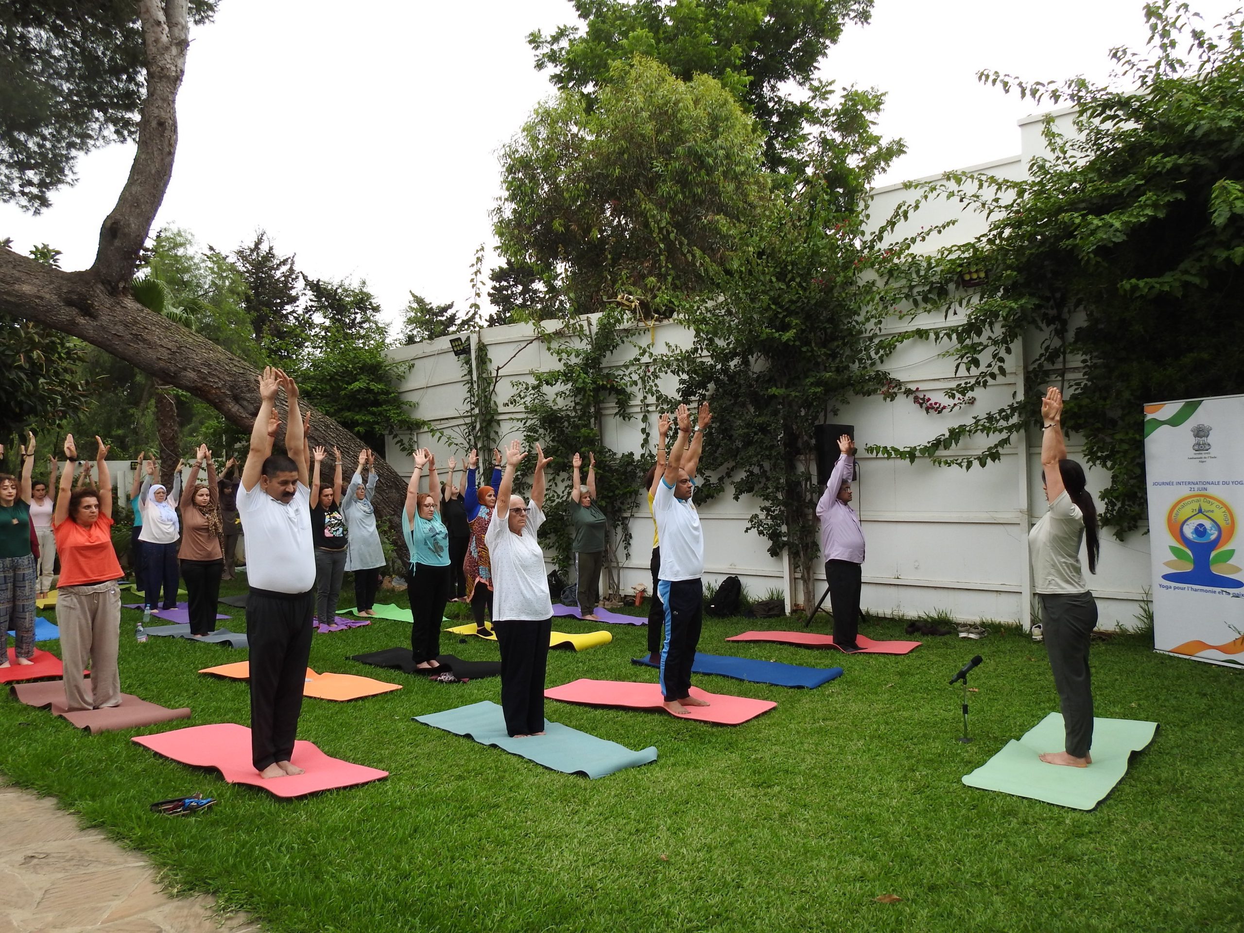 From Kuwait to Kyrgyzstan, Indian missions hold yoga events ahead of IDY 2026
