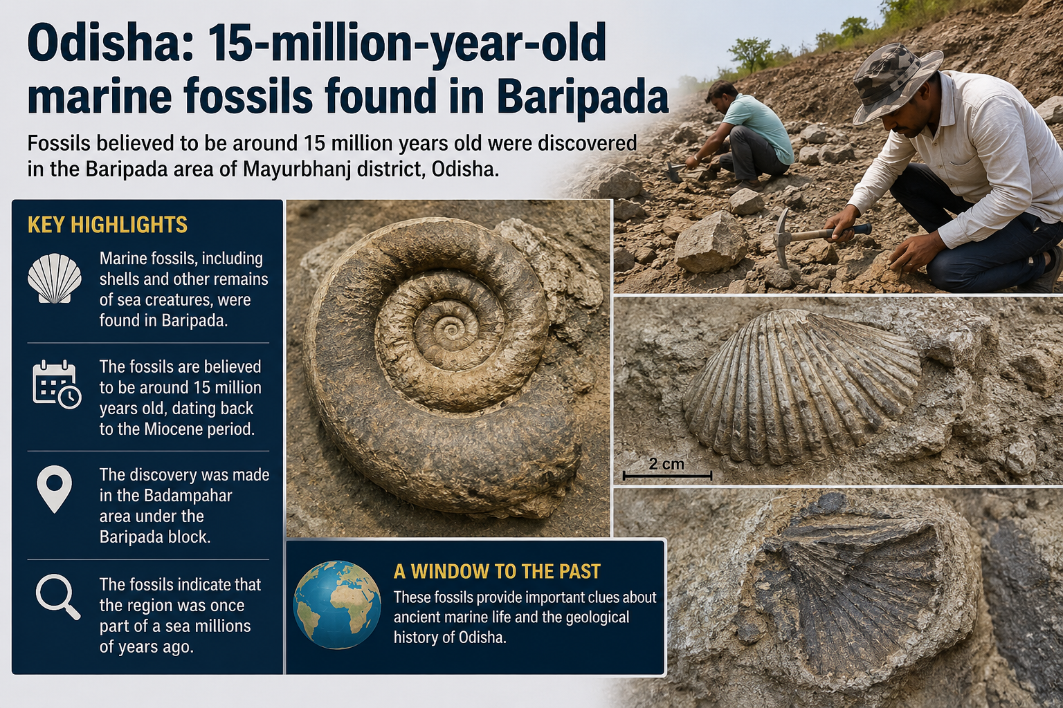 Odisha: 15-million-year-old marine fossils found in Baripada