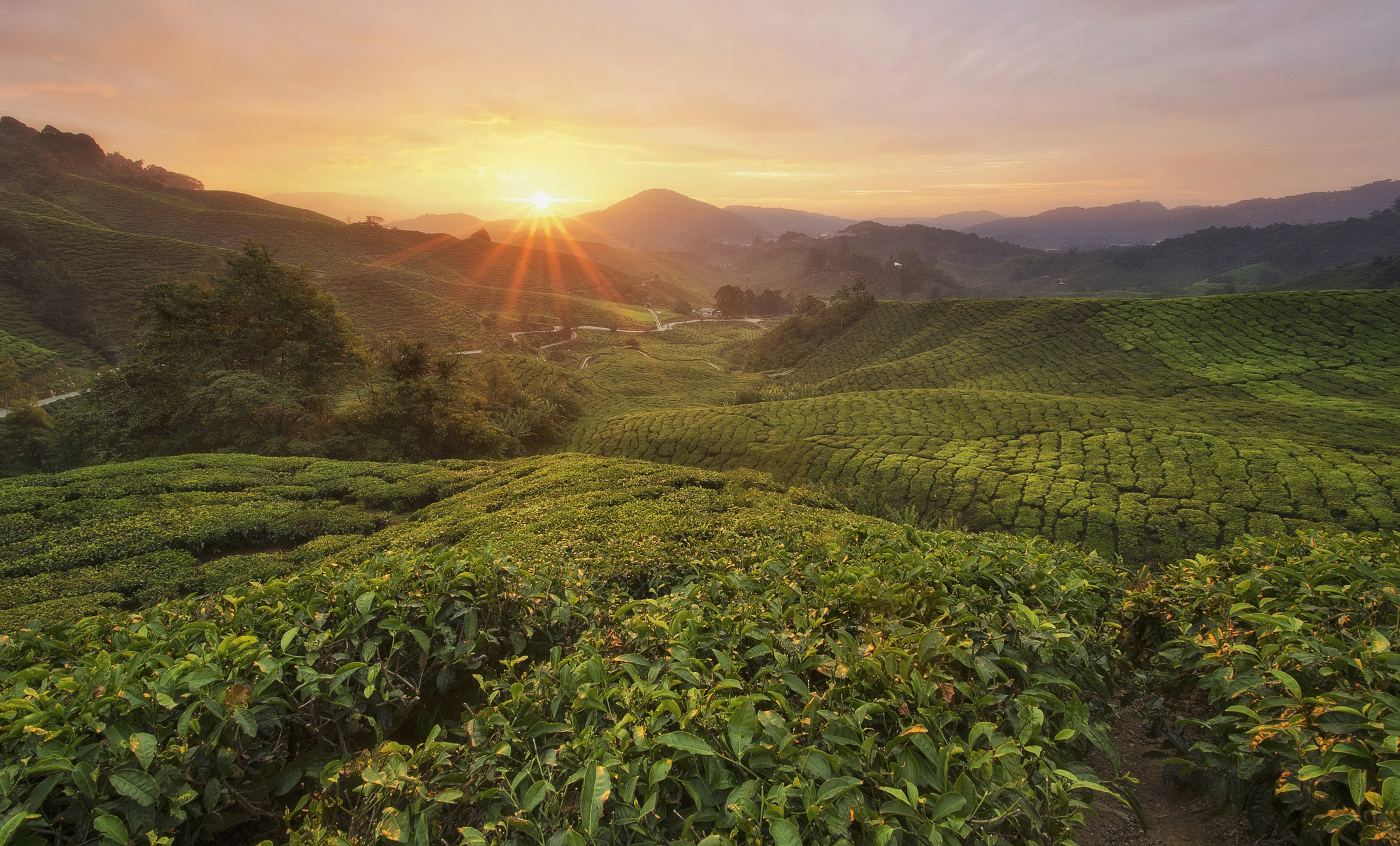 How India’s farm sector has evolved over the past decade
