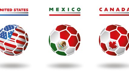 Elephants, gorillas and macaws make their picks in World Cup forecasts at Mexican zoo