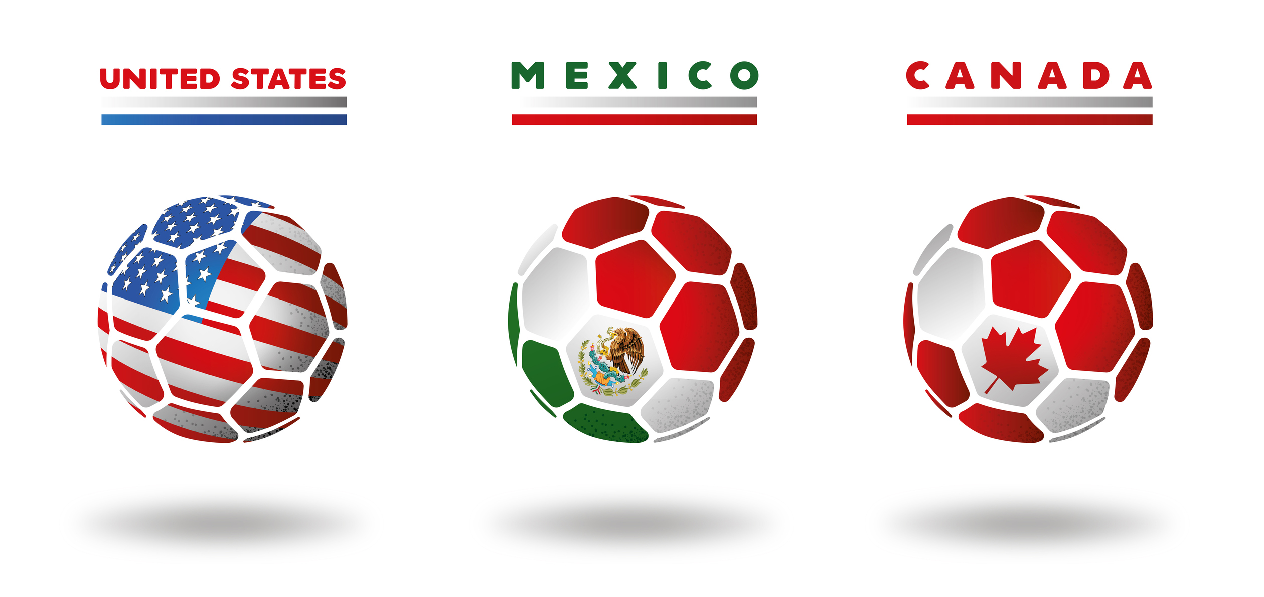 Elephants, gorillas and macaws make their picks in World Cup forecasts at Mexican zoo