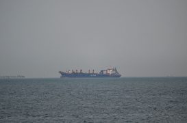 India-bound LNG carrier sails safely out of Hormuz