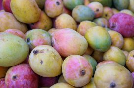 India showcases premium mangoes in Iceland with first-ever promotion events to boost exports