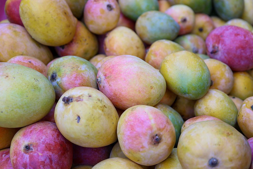No Restriction on Indian Mango Imports by Nepal, Clarifies Agriculture Ministry