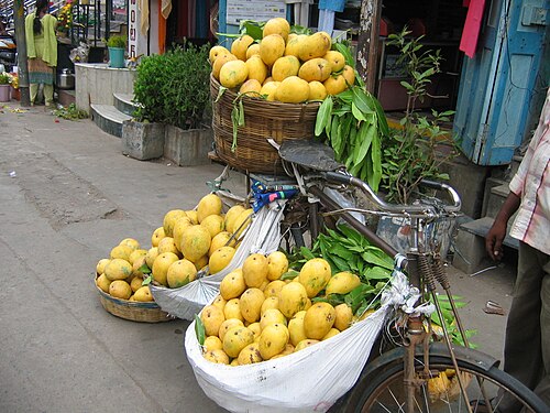 Sea Route Opens New Export Avenue for India’s Premium Banganapalle Mangoes