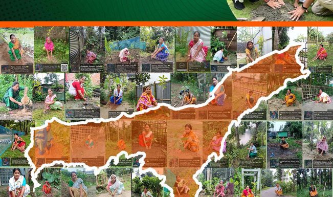 World Environment Day: Assam records plantation of over 1 crore saplings in one day