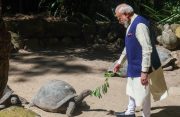 PM Modi Highlights India-Seychelles Bond During Visit to Giant Tortoise Enclosure