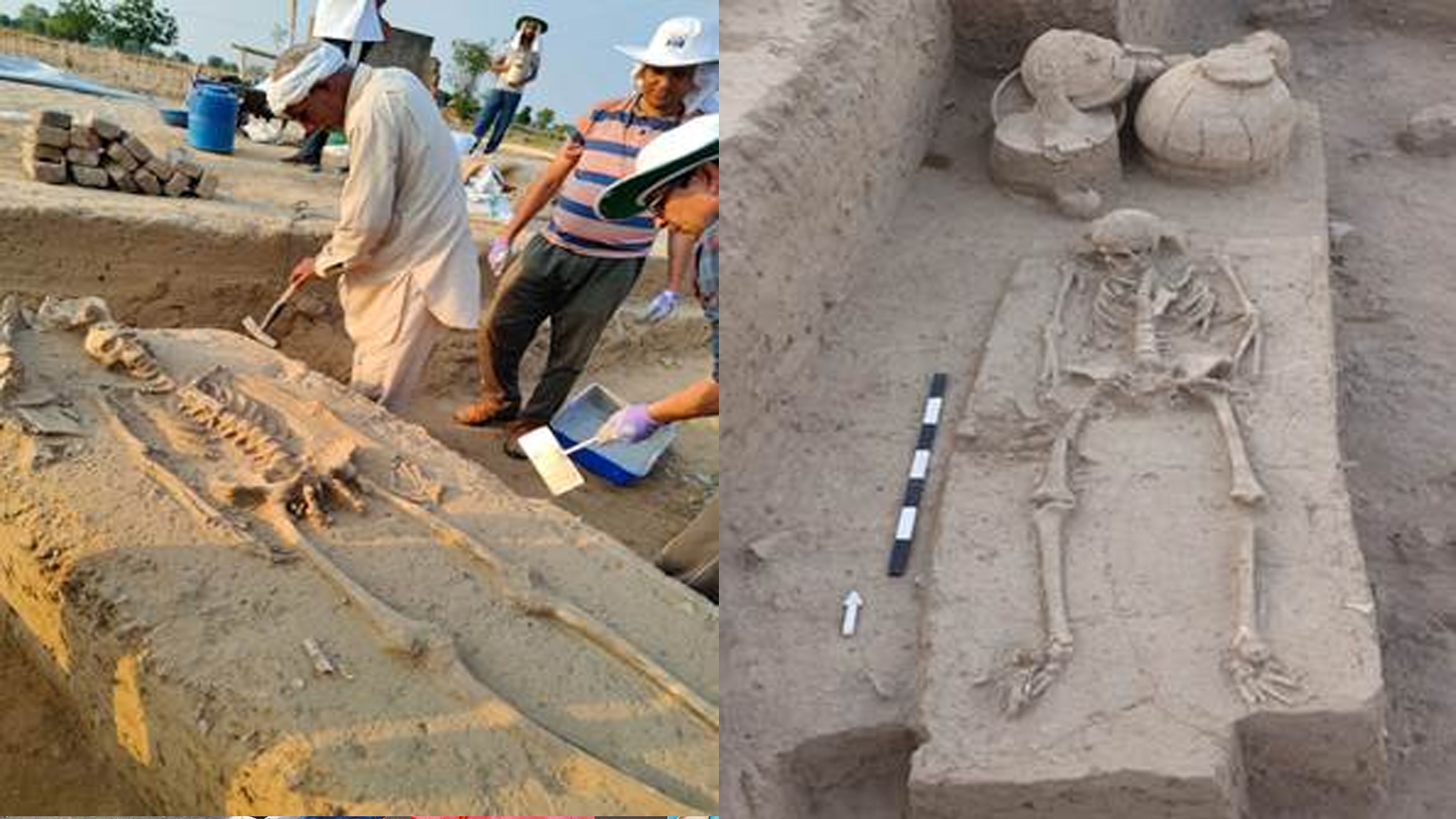 Rakhigarhi human remains sent for advanced scientific study to uncover secrets of Indus-Saraswati Civilization