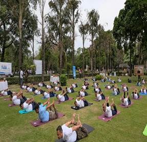 Yoga Day celebrations held across Ganga basin, NMCG organises events in Delhi