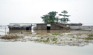 "Water level is receding": Authorities ramp up rescue ops as Assam floods wreak havoc