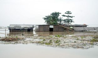 "Water level is receding": Authorities ramp up rescue ops as Assam floods wreak havoc