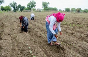 Cabinet approves continuation of PM-KISAN till 2030-31 with ₹3.15 lakh crore outlay