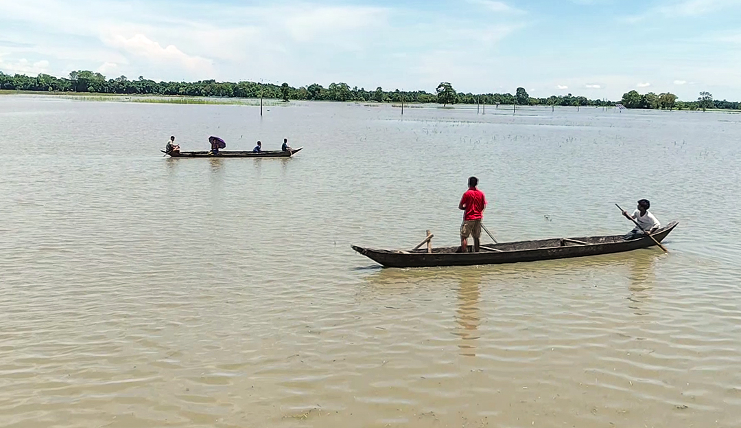 Assam flood fury: Over 37,000 people affected in six districts