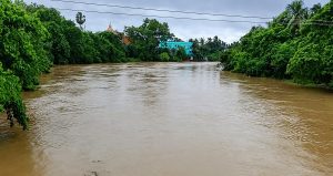 Odisha flood situation improves, nearly two lakh affected; NDRF, ODRAF continue rescue operations