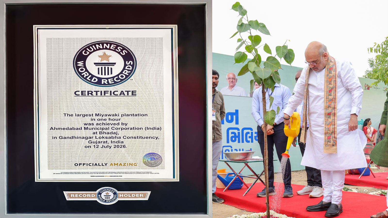 Amit Shah congratulates Gandhinagar on setting Guinness World Record by planting over 3.61 lakh saplings in one hour