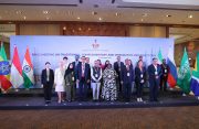 India hosts BRICS meet on traditional medicine, pushes for expert working group on TCIM