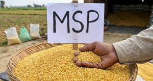 MP raises moong procurement limit to 60% at MSP, suspends e-token system for fertiliser distribution