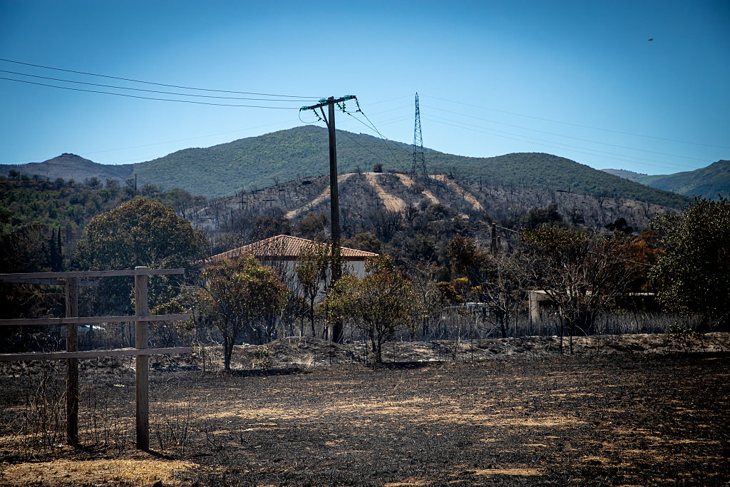 Wildfires in southern Spain kill 12, emergency agency says