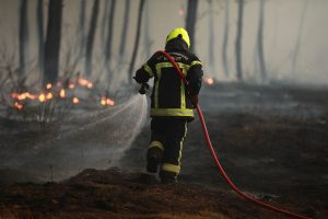 Wildfires threaten Bordeaux as France and Spain battle blazes