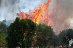 Spain declares emergency as wildfires force thousands of evacuations