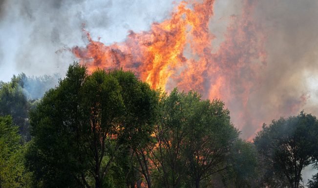 Spain declares emergency as wildfires force thousands of evacuations