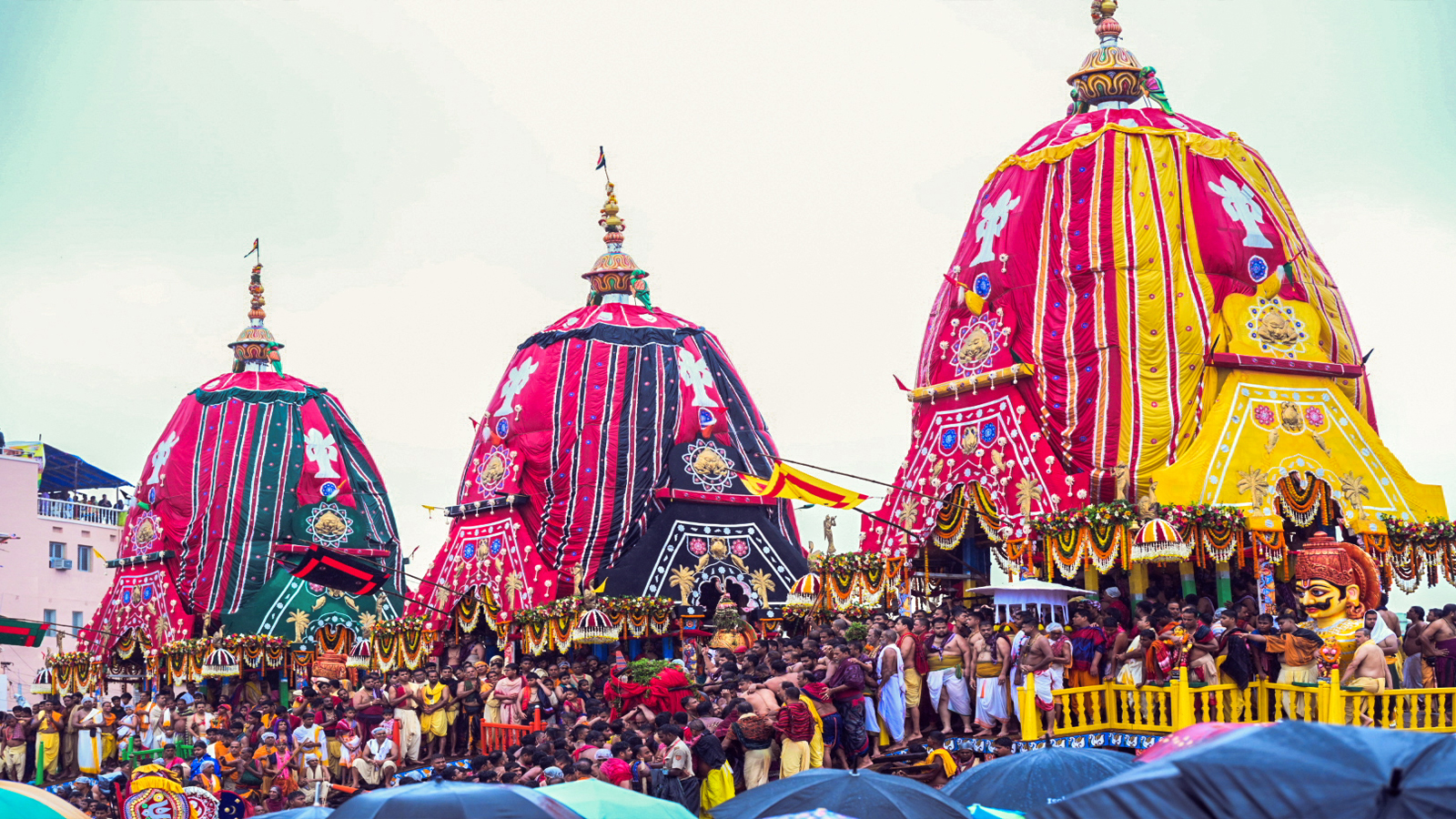 ‘Lord Jagannath gives darshan to everyone’: Foreign devotees share spiritual experience at Puri Rath Yatra