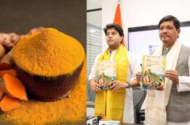 Jyotiraditya Scindia launches Rs 175.45-crore ‘Mission Golden Spice’ to transform Meghalaya’s Lakadong Turmeric into global premium brand