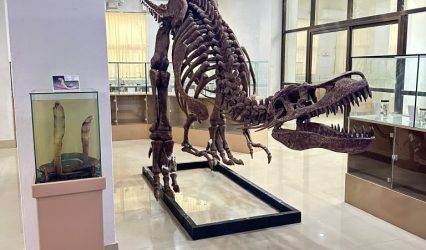 Mizoram University’s Natural History Museum designated as India’s 21st biodiversity repository