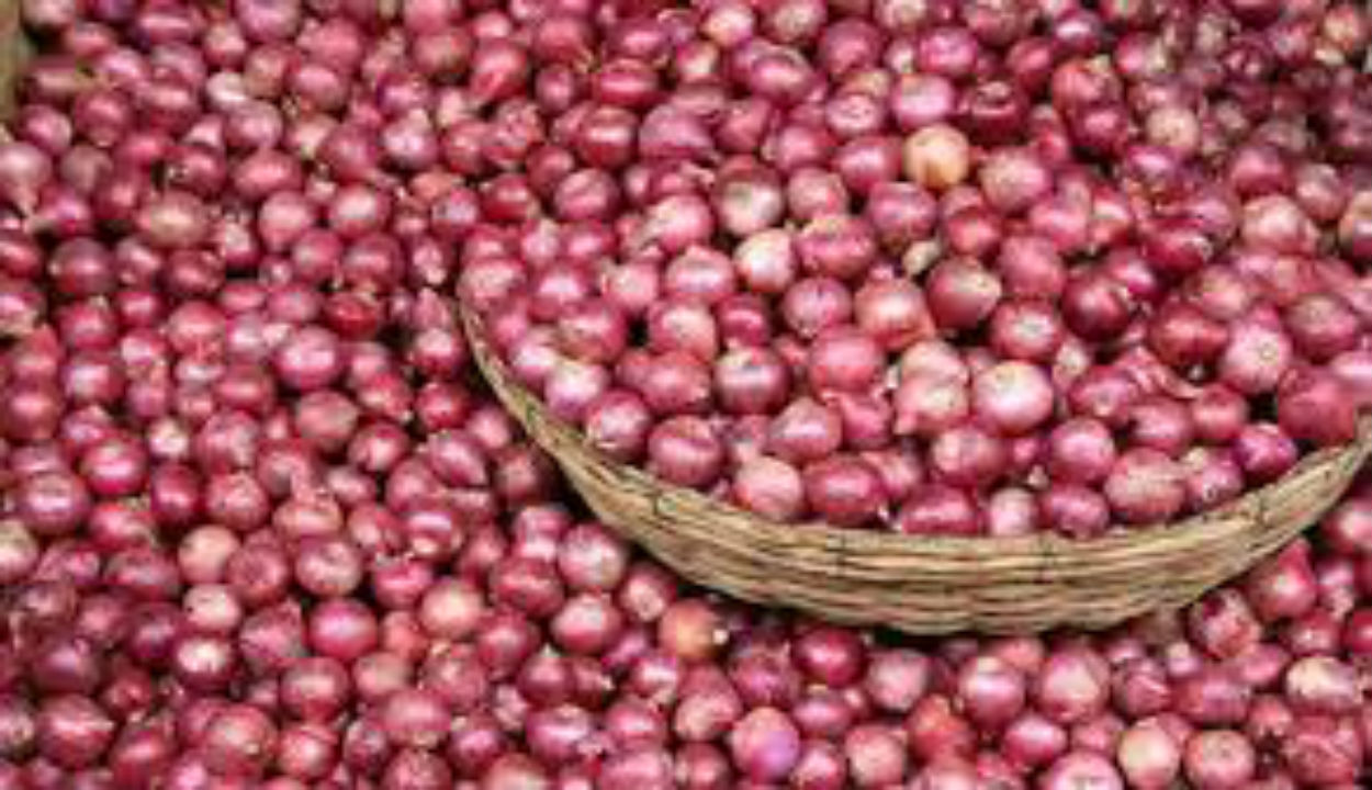 Govt raises onion procurement price by 13% to ₹2,125/quintal to boost farmer returns
