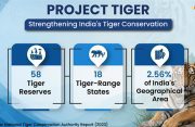 India emerges as a global leader in tiger conservation with science-based policies and community participation