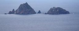 President Murmu, PM Modi condole deaths of Indian tourists in Vietnam boat tragedy; Embassy sets up helpline