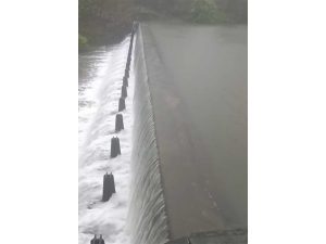 Mumbai: Tulsi Lake starts overflowing amid incessant rain; joins Vihar Lake as total water levels in seven lakes continue to rise