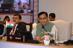 India Hosts 3rd BRICS Ministerial Meeting on Disaster Risk Reduction, Joint Statement Adopted