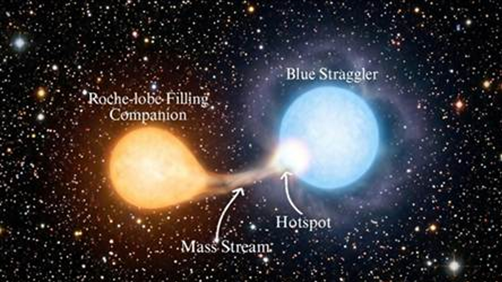 Indian astronomers capture rare ‘Blue Straggler’ Star in the act of formation