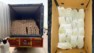 India successfully exports 12.5 tonnes of Dashehari and Langra mangoes to Dubai by sea, boosting farmers' returns
